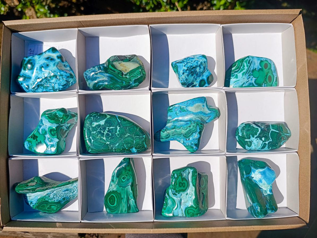 Polished Malacolla Free Forms x 12 From Kulukuluku, Congo - Toprock Gemstones and Minerals 