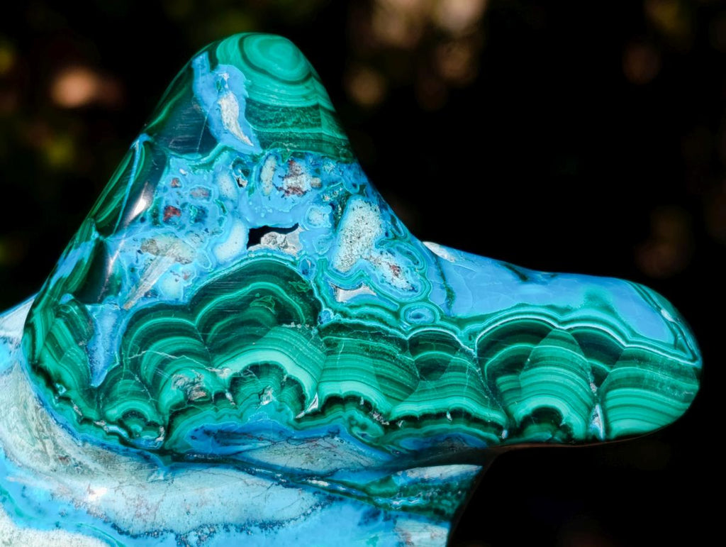 Polished Malacolla Free Forms x 12 From Kulukuluku, Congo - Toprock Gemstones and Minerals 