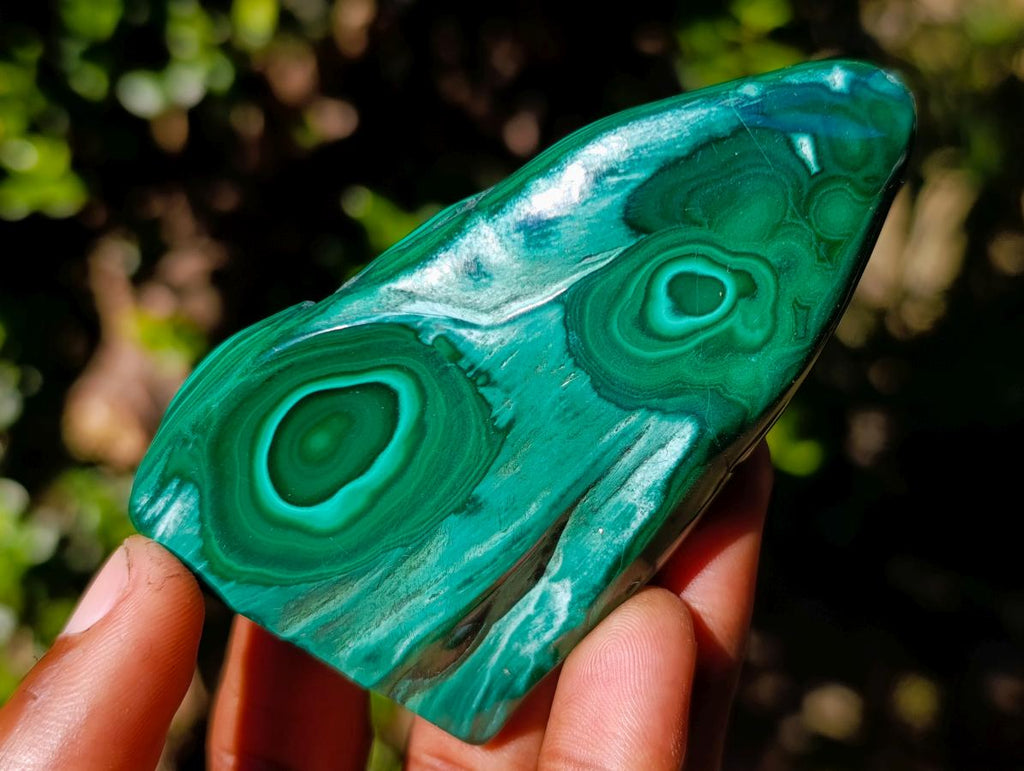 Polished Malacolla Free Forms x 12 From Kulukuluku, Congo - Toprock Gemstones and Minerals 