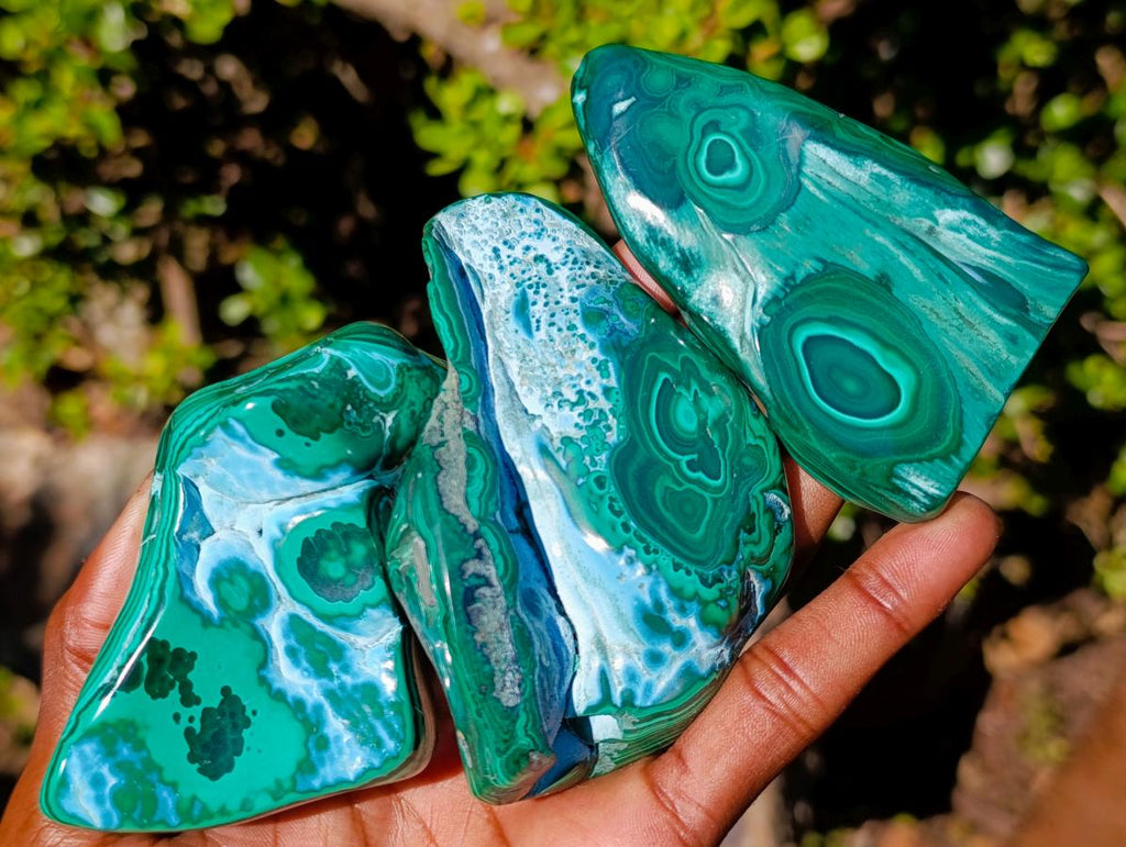 Polished Malacolla Free Forms x 12 From Kulukuluku, Congo - Toprock Gemstones and Minerals 