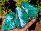 Polished Malacolla Free Forms x 12 From Kulukuluku, Congo - Toprock Gemstones and Minerals 