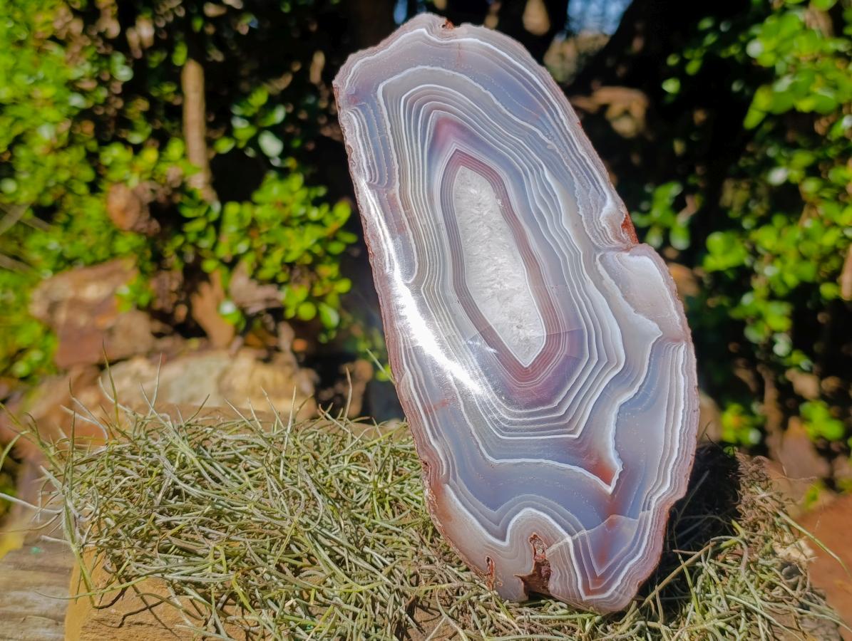 Polished XL One Side Red Shashe River Agate Nodule x 1 From Shashe River, Zimbabwe - Toprock Gemstones and Minerals 