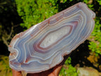 Polished XL One Side Red Shashe River Agate Nodule x 1 From Shashe River, Zimbabwe - Toprock Gemstones and Minerals 