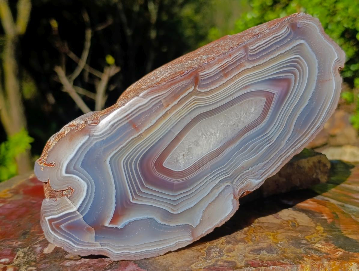 Polished XL One Side Red Shashe River Agate Nodule x 1 From Shashe River, Zimbabwe - Toprock Gemstones and Minerals 