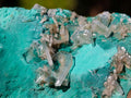 Natural Rare Bladed Barite Specimens with Malachite x 7 From Congo - Toprock Gemstones and Minerals 