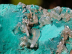 Natural Rare Bladed Barite Specimens with Malachite x 7 From Congo - Toprock Gemstones and Minerals 