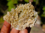 Natural Rare Bladed Barite Specimens with Malachite x 7 From Congo - Toprock Gemstones and Minerals 
