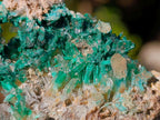 Natural Rare Bladed Barite Specimens with Malachite x 7 From Congo - Toprock Gemstones and Minerals 