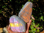 Polished Rare Purple Sunset Flash Labradorite Standing Display Pieces x 3 From Madagascar - Toprock Gemstones and Minerals 