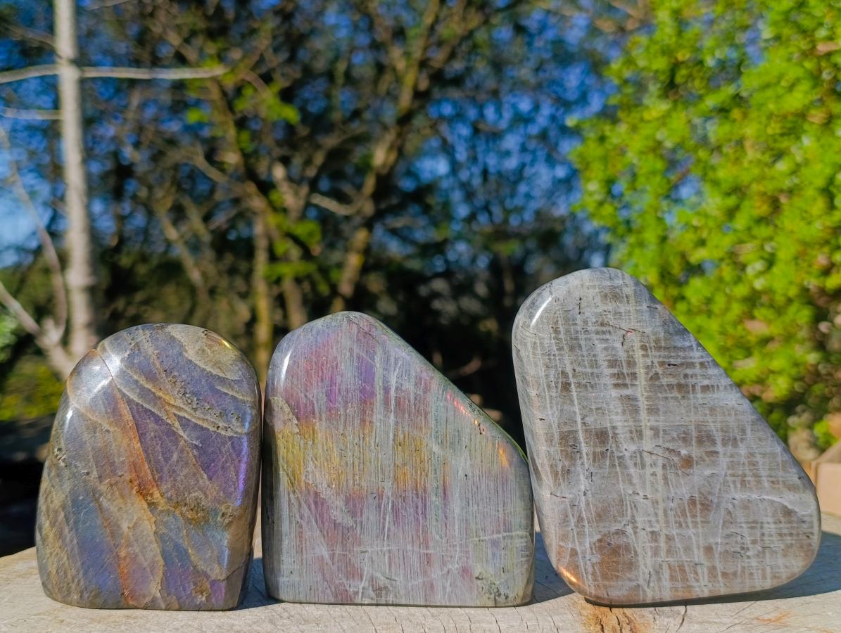 Polished Rare Purple Sunset Flash Labradorite Standing Display Pieces x 3 From Madagascar - Toprock Gemstones and Minerals 