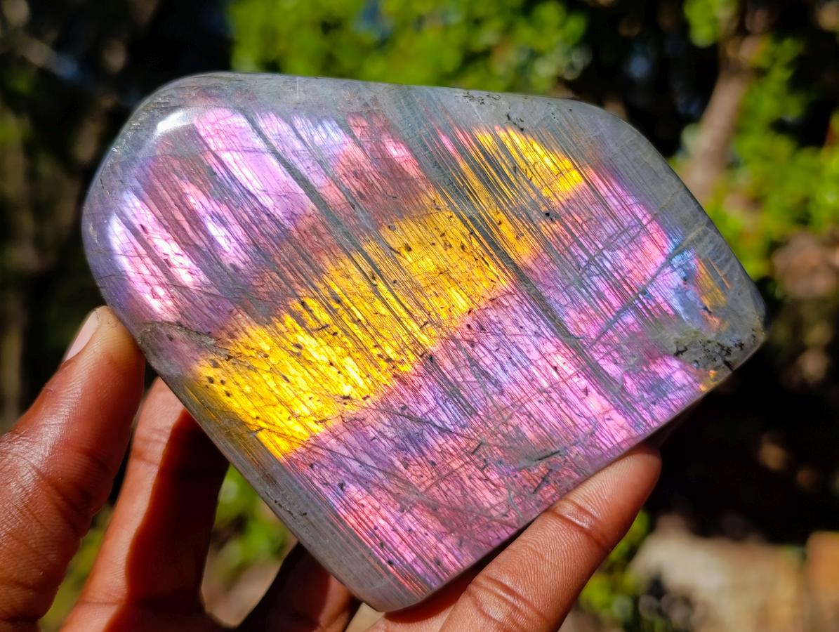 Polished Rare Purple Sunset Flash Labradorite Standing Display Pieces x 3 From Madagascar - Toprock Gemstones and Minerals 