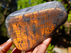 Polished Rare Purple Sunset Flash Labradorite Standing Display Pieces x 3 From Madagascar - Toprock Gemstones and Minerals 