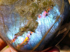 Polished Rare Purple Sunset Flash Labradorite Standing Display Pieces x 3 From Madagascar - Toprock Gemstones and Minerals 
