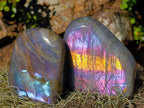Polished Rare Purple Sunset Flash Labradorite Standing Display Pieces x 3 From Madagascar - Toprock Gemstones and Minerals 