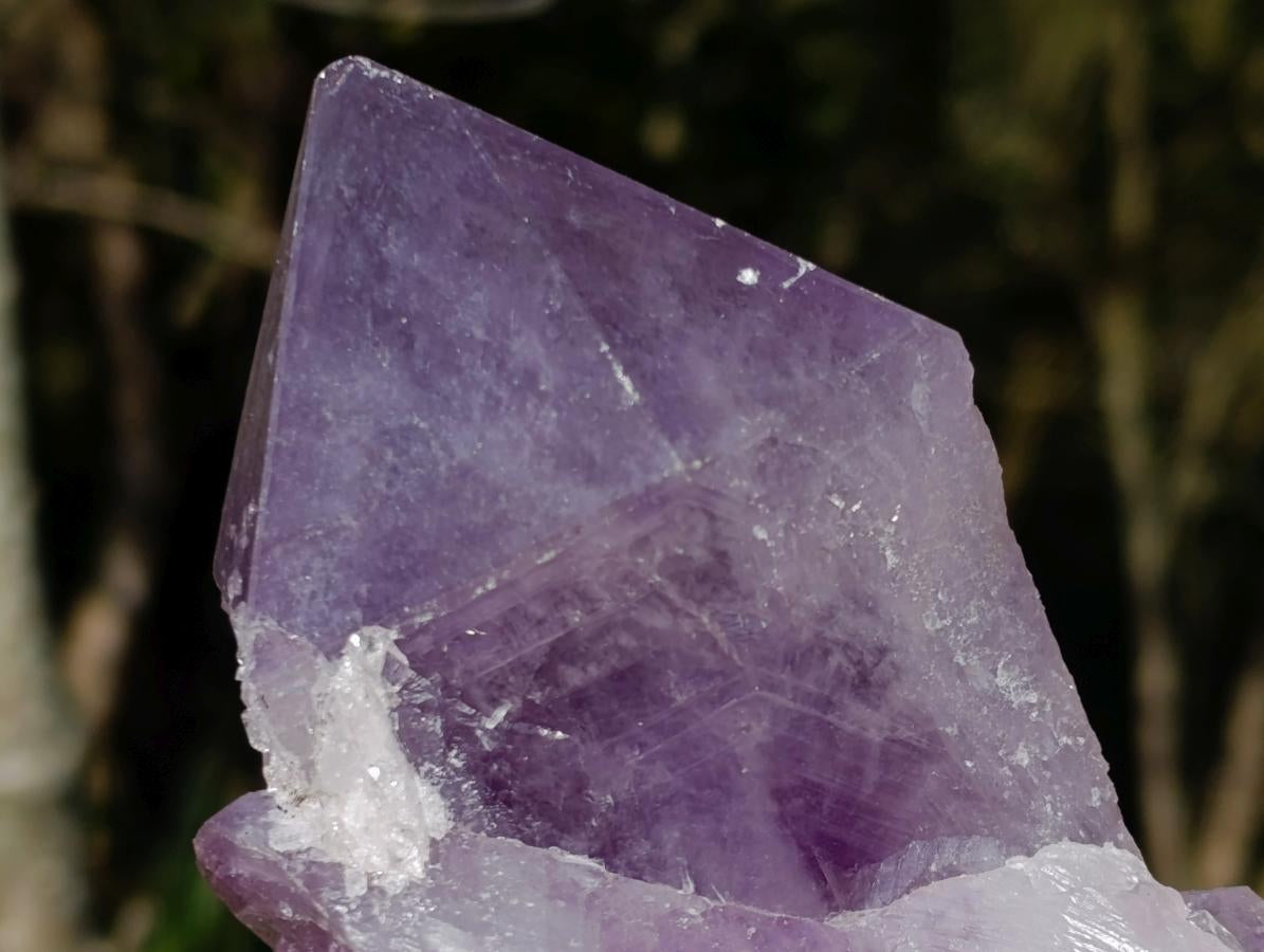 Natural Jacaranda Amethyst Crystal and Cluster x 2 From Mumbwa, Zambia - Toprock Gemstones and Minerals 