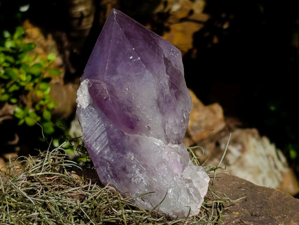 Natural Jacaranda Amethyst Crystal and Cluster x 2 From Mumbwa, Zambia - Toprock Gemstones and Minerals 