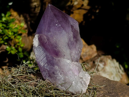 Natural Jacaranda Amethyst Crystal and Cluster x 2 From Mumbwa, Zambia - Toprock Gemstones and Minerals 