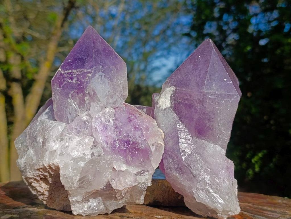 Natural Jacaranda Amethyst Crystal and Cluster x 2 From Mumbwa, Zambia - Toprock Gemstones and Minerals 