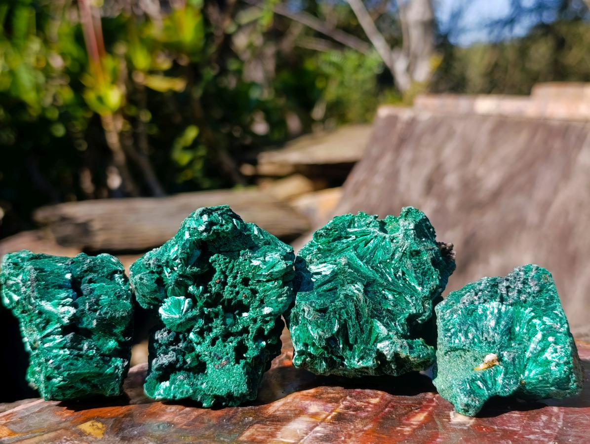 Natural Silky Malachite Specimens x 12 From Kasompe, Congo - Toprock Gemstones and Minerals 