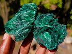 Natural Silky Malachite Specimens x 12 From Kasompe, Congo - Toprock Gemstones and Minerals 