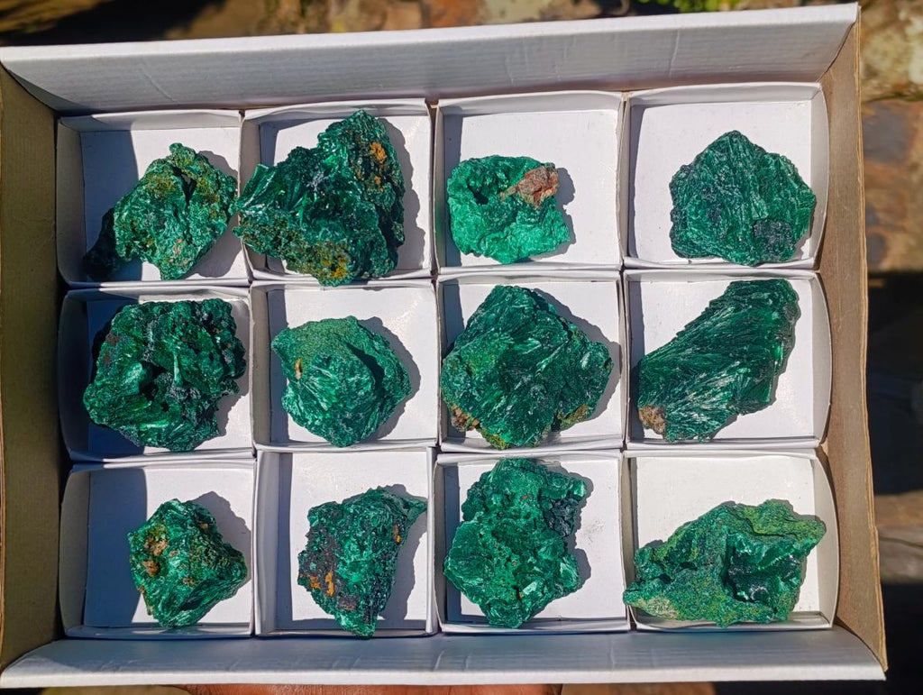 Natural Silky Malachite Specimens x 12 From Kasompe, Congo - Toprock Gemstones and Minerals 