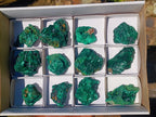 Natural Silky Malachite Specimens x 12 From Kasompe, Congo - Toprock Gemstones and Minerals 