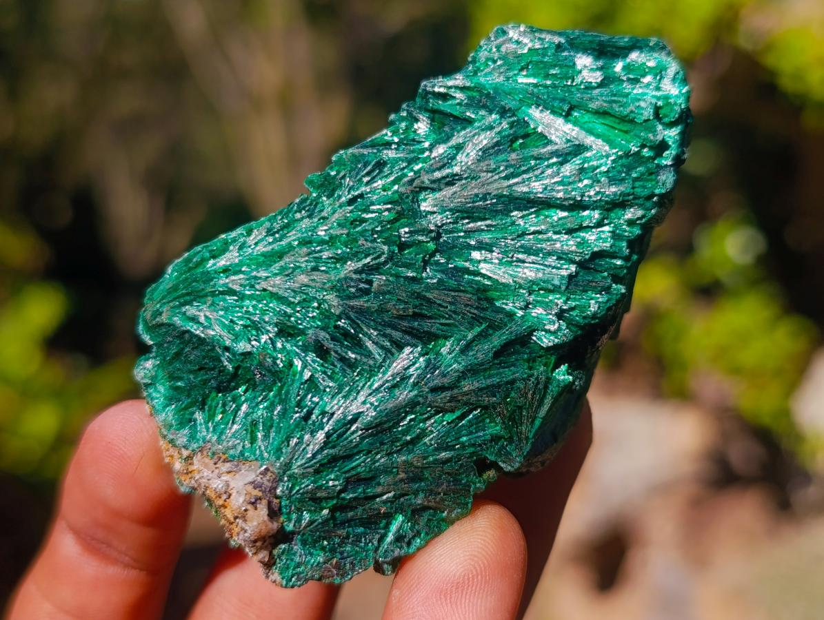 Natural Silky Malachite Specimens x 12 From Kasompe, Congo - Toprock Gemstones and Minerals 