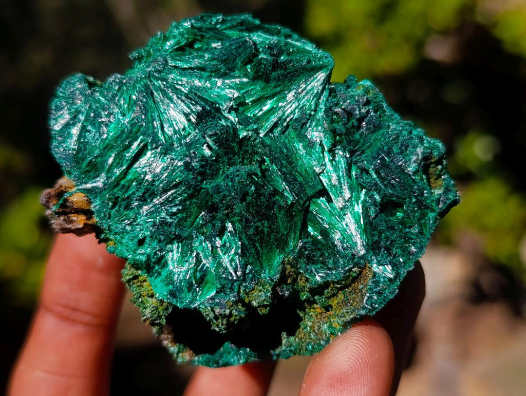 Natural Silky Malachite Specimens x 12 From Kasompe, Congo - Toprock Gemstones and Minerals 