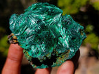 Natural Silky Malachite Specimens x 12 From Kasompe, Congo - Toprock Gemstones and Minerals 