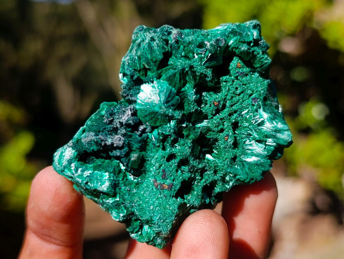 Natural Silky Malachite Specimens x 12 From Kasompe, Congo - Toprock Gemstones and Minerals 