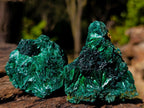 Natural Silky Malachite Specimens x 12 From Kasompe, Congo - Toprock Gemstones and Minerals 