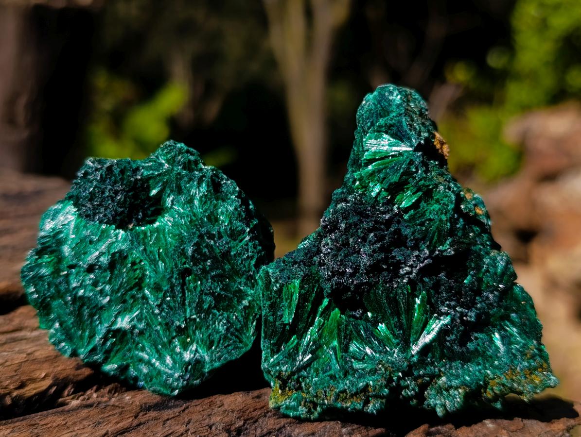 Natural Silky Malachite Specimens x 12 From Kasompe, Congo - Toprock Gemstones and Minerals 
