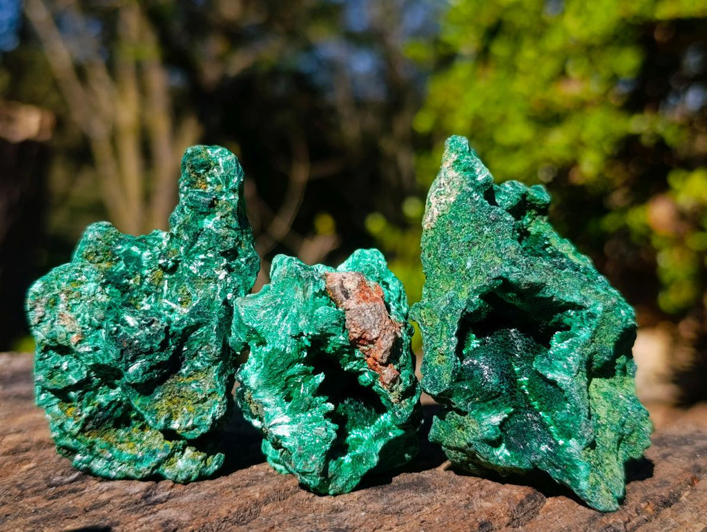 Natural Silky Malachite Specimens x 12 From Kasompe, Congo - Toprock Gemstones and Minerals 