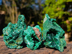Natural Silky Malachite Specimens x 12 From Kasompe, Congo - Toprock Gemstones and Minerals 