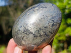 Polished XL Basalt Pharaoh Stone Galets x 3 From Iron Duke Mine, Zimbabwe - Toprock Gemstones and Minerals 