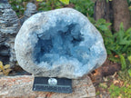 Natural Large Blue Celestite Geode Specimen x 1 From Sakoany, Madagascar - Toprock Gemstones and Minerals 