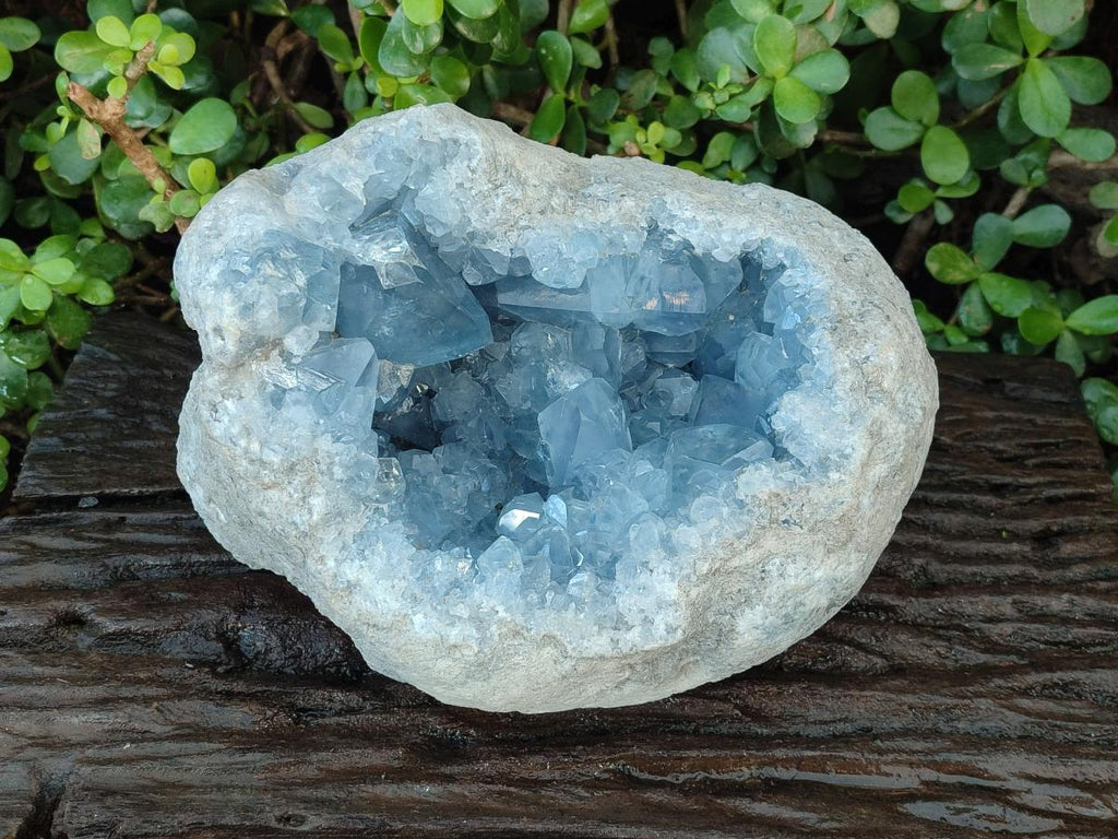 Natural Large Blue Celestite Geode Specimen x 1 From Sakoany, Madagascar - Toprock Gemstones and Minerals 