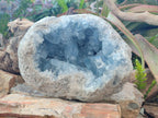 Natural Large Blue Celestite Geode Specimen x 1 From Sakoany, Madagascar - Toprock Gemstones and Minerals 