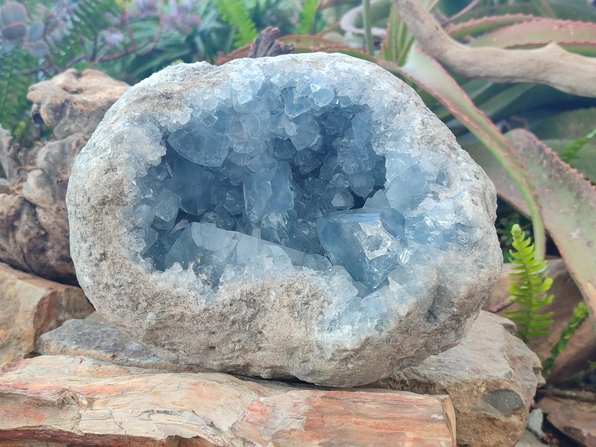 Natural Large Blue Celestite Geode Specimen x 1 From Sakoany, Madagascar - Toprock Gemstones and Minerals 