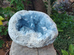 Natural Large Blue Celestite Geode Specimen x 1 From Sakoany, Madagascar - Toprock Gemstones and Minerals 