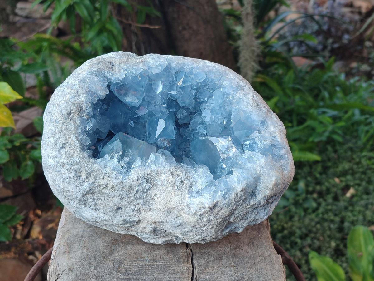 Natural Large Blue Celestite Geode Specimen x 1 From Sakoany, Madagascar - Toprock Gemstones and Minerals 