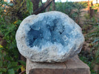 Natural Large Blue Celestite Geode Specimen x 1 From Sakoany, Madagascar - Toprock Gemstones and Minerals 