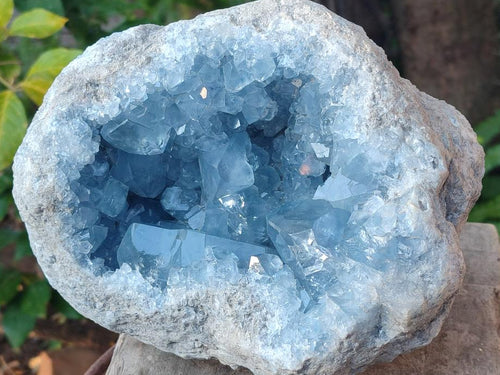 Natural Large Blue Celestite Geode Specimen x 1 From Sakoany, Madagascar - Toprock Gemstones and Minerals 