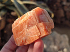 Natural Rhombohedral Sunset Orange Calcite Specimens x 24 From Spitzkop, Namibia - Toprock Gemstones and Minerals 