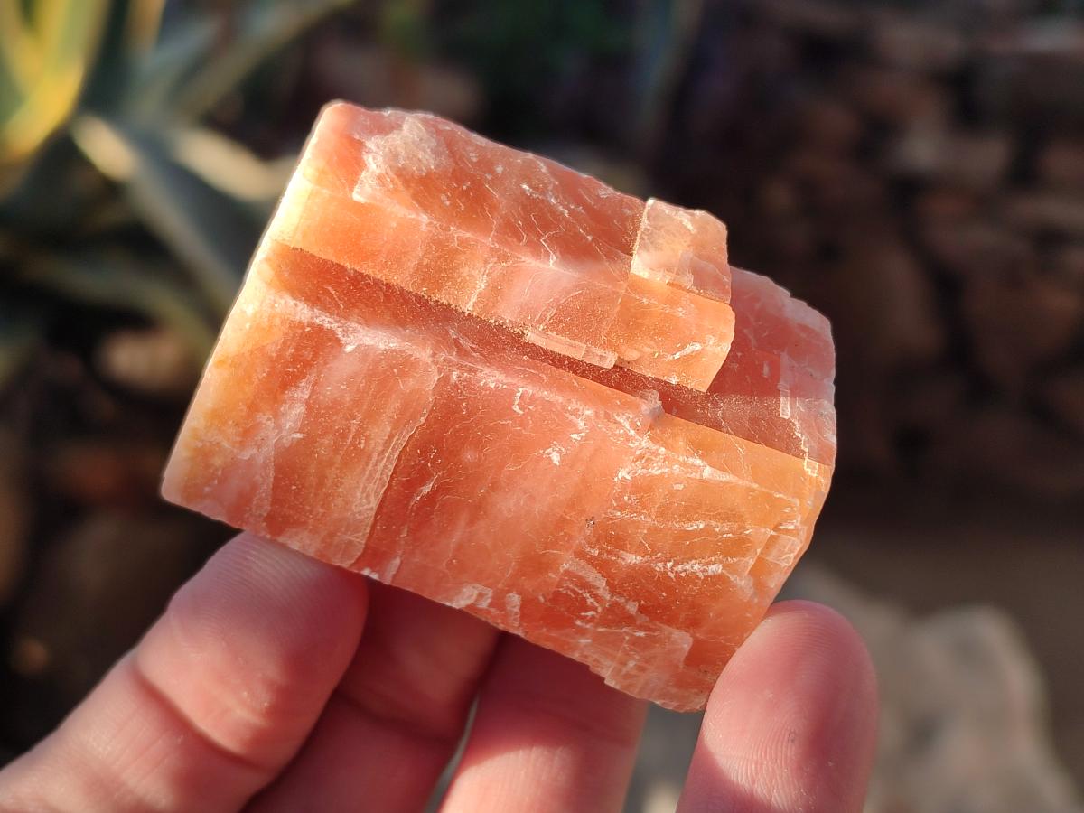 Natural Rhombohedral Sunset Orange Calcite Specimens x 24 From Spitzkop, Namibia - Toprock Gemstones and Minerals 