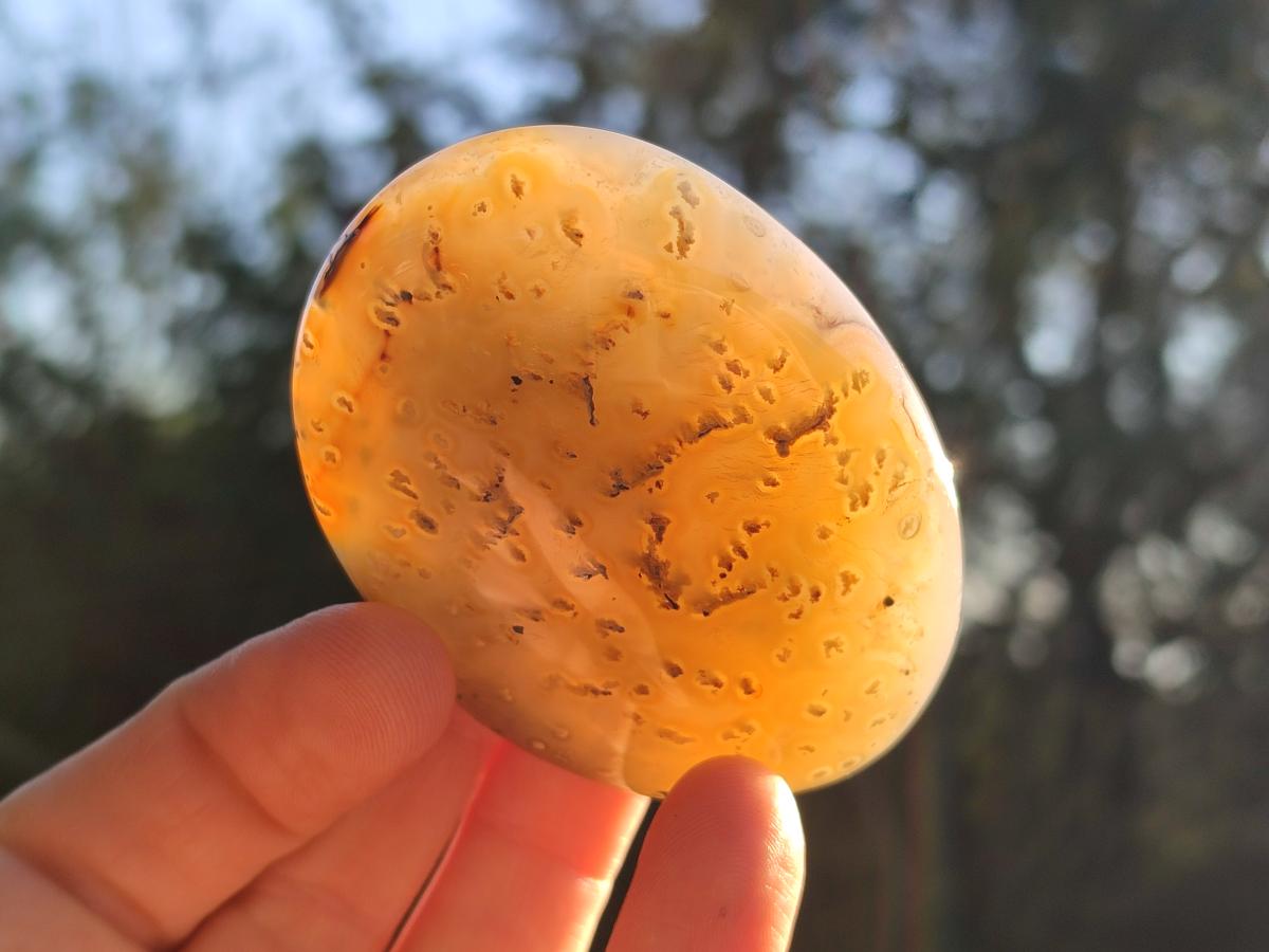 Polished Banded Agate Galets x 24 From Madagascar - Toprock Gemstones and Minerals 