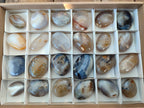 Polished Banded Agate Galets x 24 From Madagascar - Toprock Gemstones and Minerals 