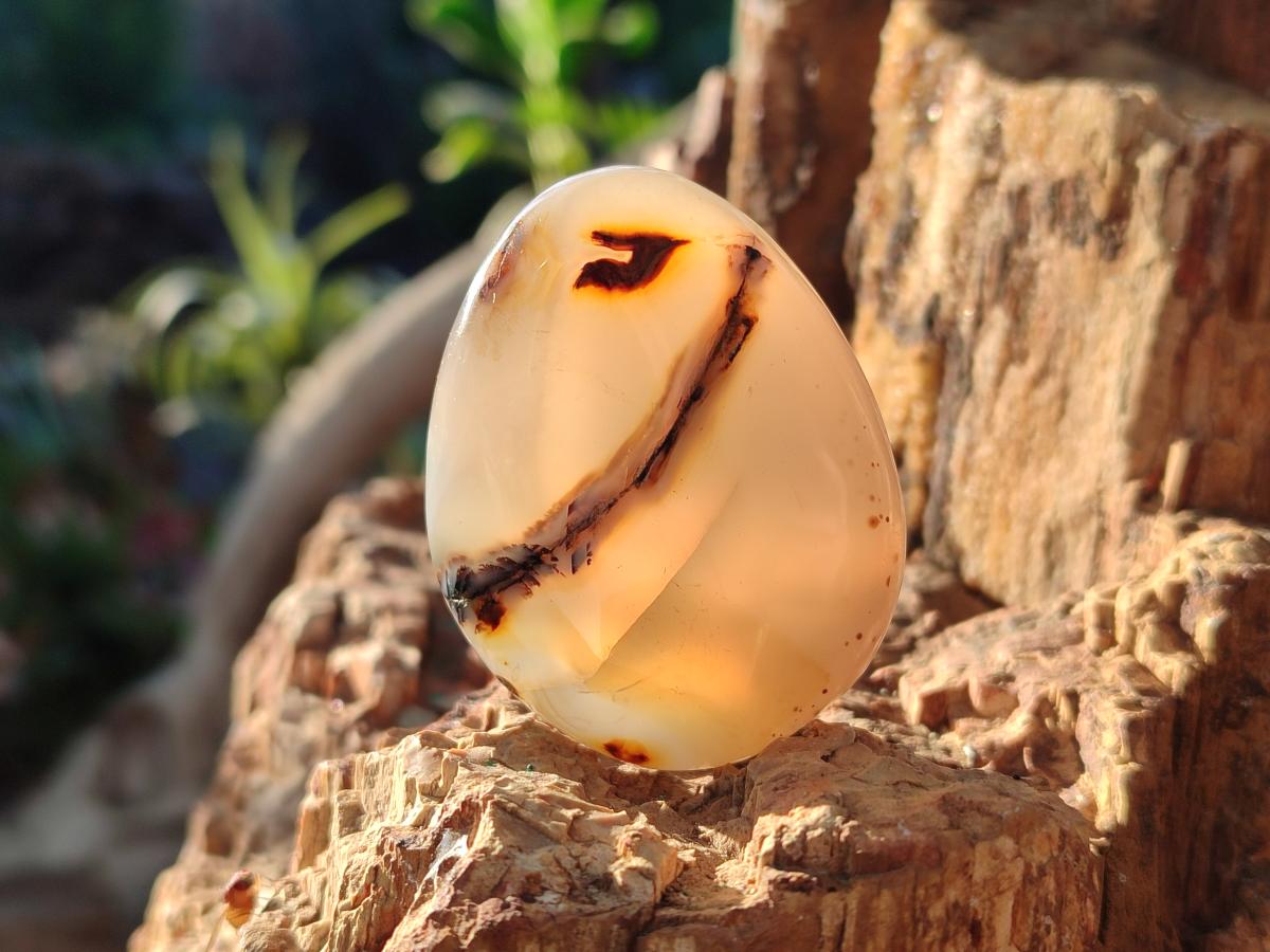 Polished Banded Agate Galets x 24 From Madagascar - Toprock Gemstones and Minerals 