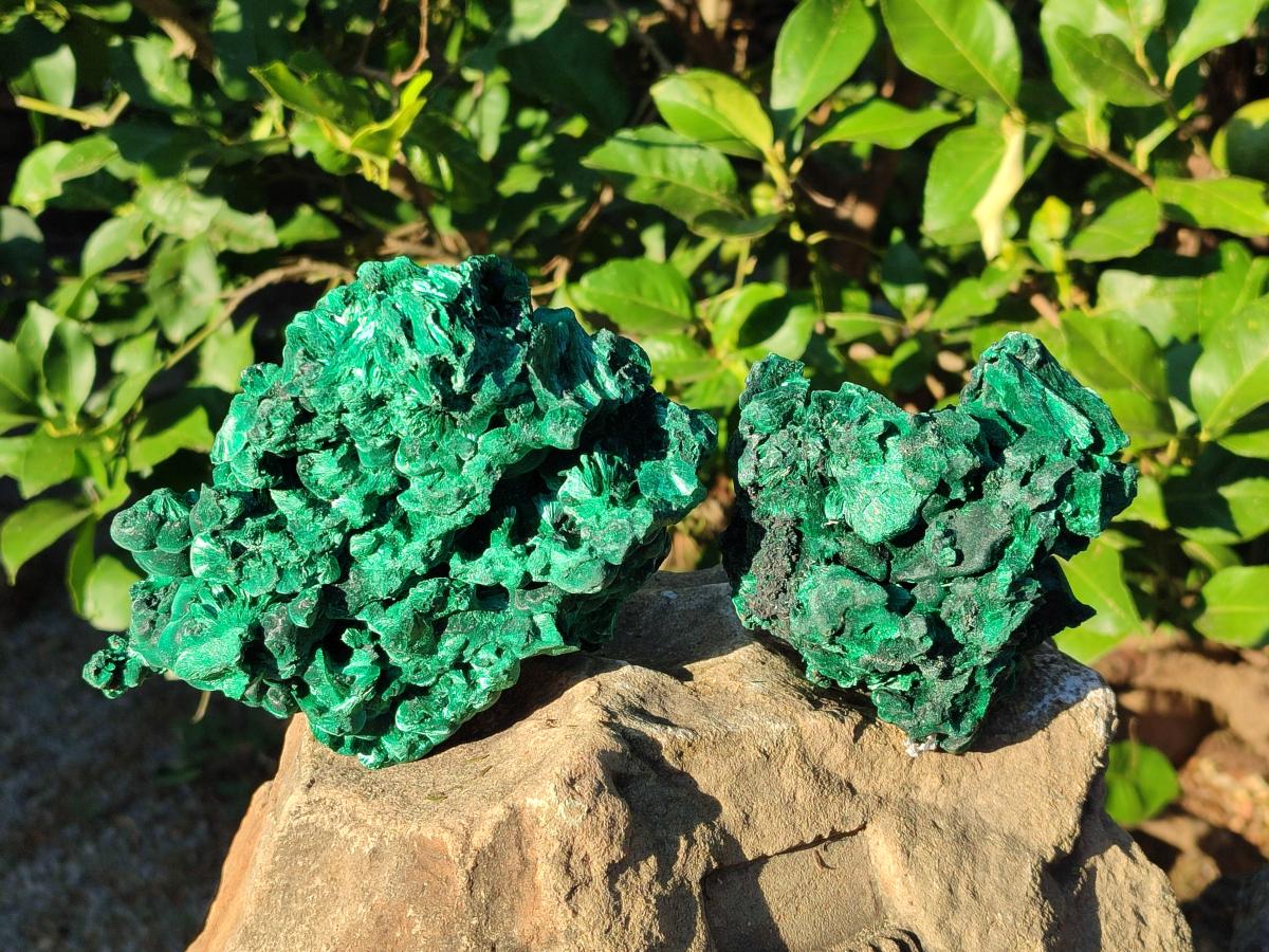 Natural Large Silky Malachite Specimens x 2 From Kasompe, Congo - Toprock Gemstones and Minerals 