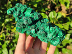 Natural Large Silky Malachite Specimens x 2 From Kasompe, Congo - Toprock Gemstones and Minerals 